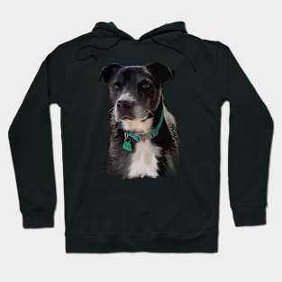 Roxy, Beloved Pet Hoodie